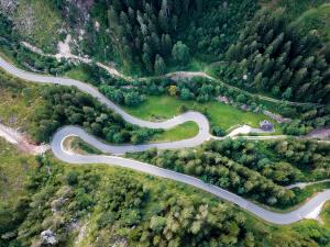 Anja Strojan - Vijugasta cesta